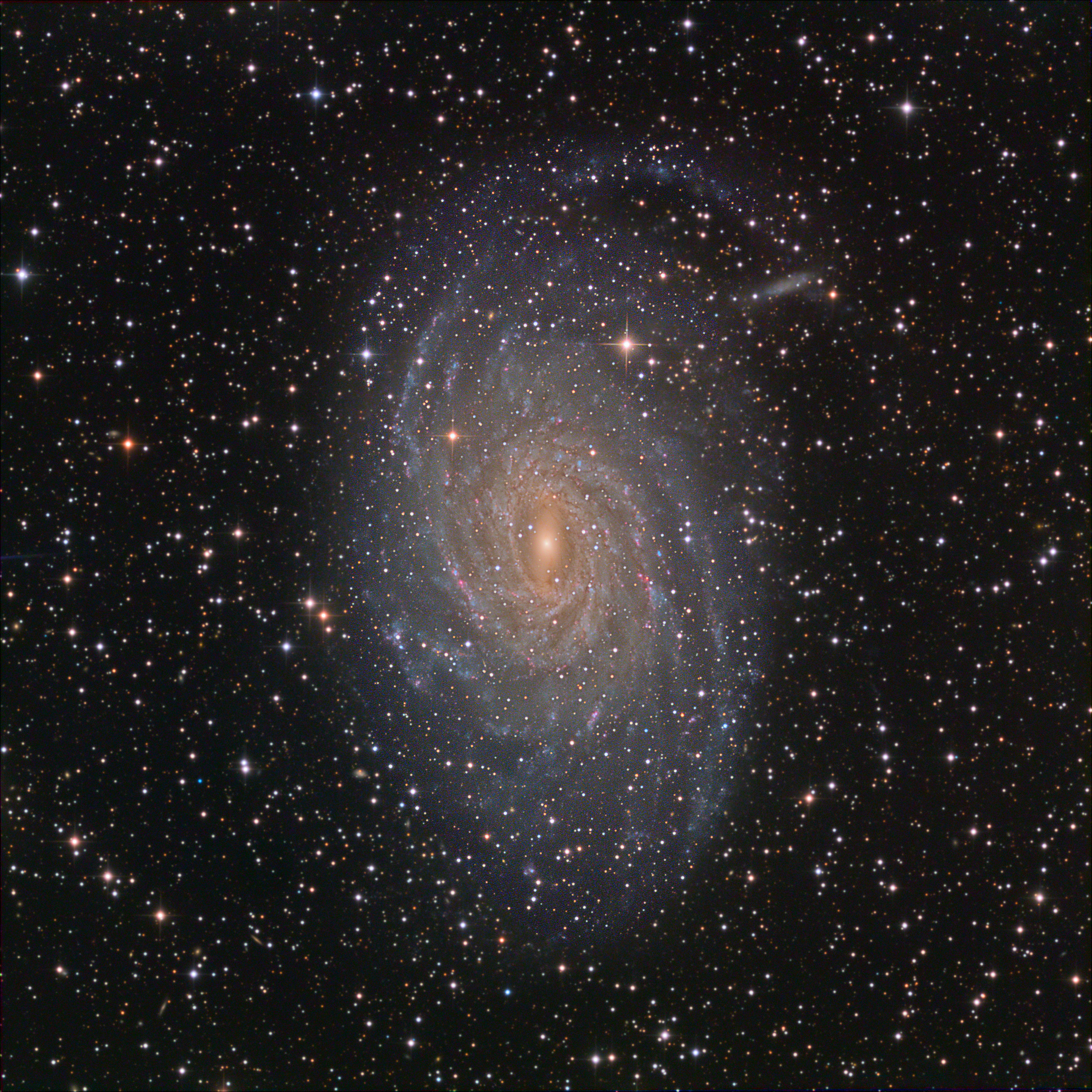 【4枚組】NGC MS66 2025 SpecialWrapCollection NGC 6744 | Telescope Live